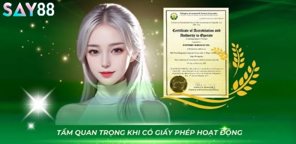 Tính quan trọng của giấy phép hoạt động Say88