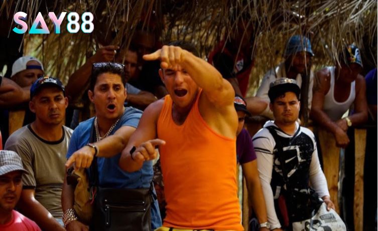 Giống Đá Gà Chọi Cuba Say88 là gì, một số chi tiết nhận biết về giống gà này